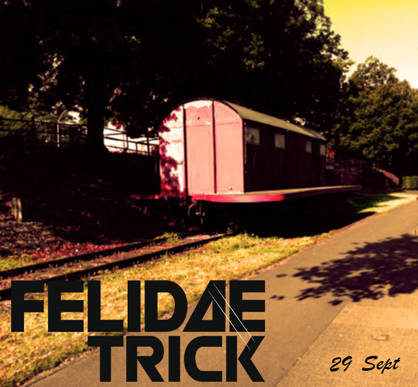 felidae