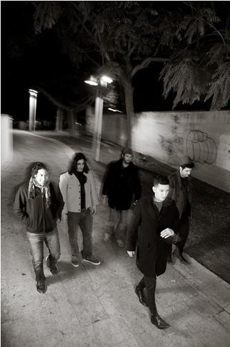 felidae trick band