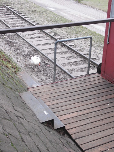 20.01.2011, 14:00 Uhr