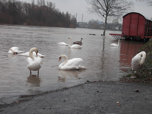 12.01.2011, 14:35 Uhr