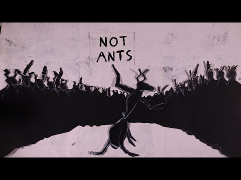 Not Ants // Seth Faergolzia