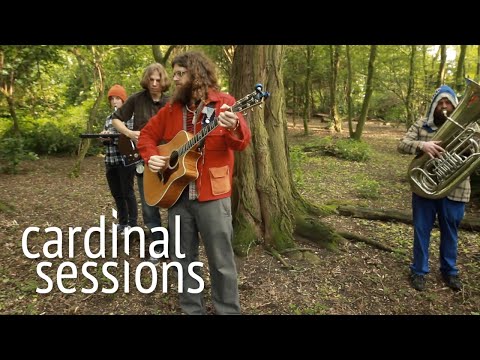 Seth Faergolzia - Doubting Won&#039;t Do - CARDINAL SESSIONS