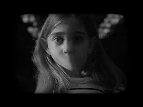 Die brennenden Wälder - &quot;Ja zum Wahnsinn&quot;-Teaser