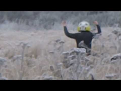 Low Budgie - Green Man