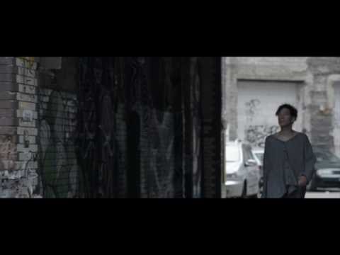 Felidae - At The Backyard