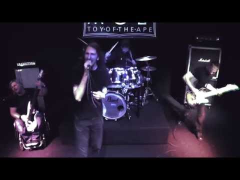 Toy of the Ape - Saturated