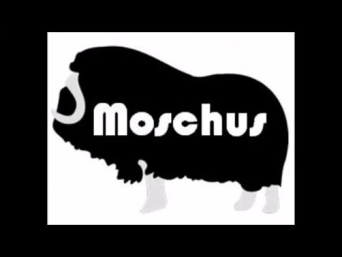 MOSCHUS ~ As the witches burn ~ OX