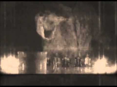 Neon Lies - Golden Chance For Surrender