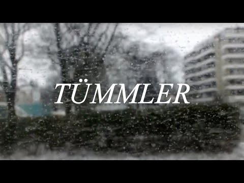 Andreas Liebert — Tümmler | Offizielles Video