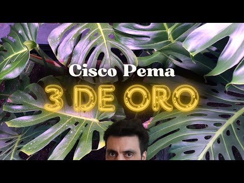 Tres de oro - Cisco Pema acustico -