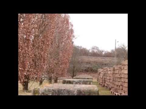 Poet Zero - &quot;Rocky´s Trainer&quot;